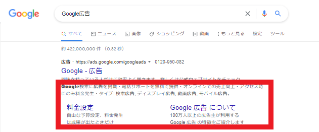 Google広告の広告表示オプション